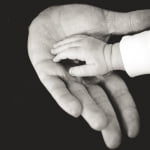 What is Annual Renewable Term Life Insurance?
