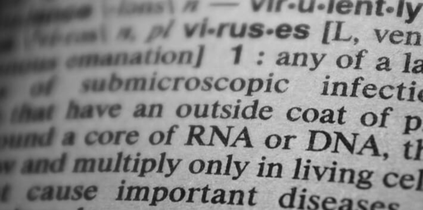 Life Insurance Definitions